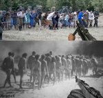 nvegdd543.JPG