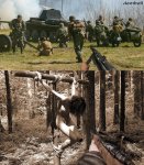 nvetcr579.JPG