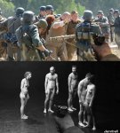 nvyasd345.JPG