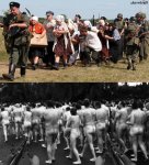 zipszu772.JPG