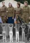 cqmewr671.JPG