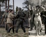 sewimd736.JPG