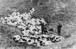 German_officer_executes_Jewish_women_who_survived_a_mass_shooting_outside_the_Mizocz_ghetto,_1...jpg