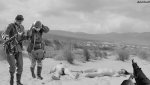 ww2phot_493.jpg