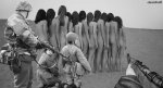 ww2phot_842.jpg