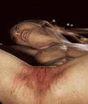 wip04.gif