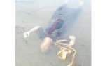 тело домохозяйки по имени Бачатан Нача (52 года).jpg