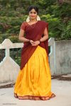 gagana-in-half-saree-1.jpg