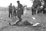 Polish_2.jpg