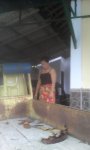 Ni Luh Ari Astiti, 46 (1).jpg