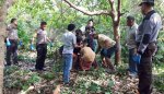 Wa Sari.jpg