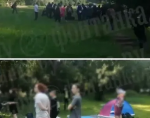 1691430071345.png