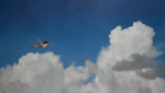 homeward-caprice-archive-harryholland.png