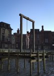 image_85480.jpg