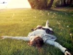 meadow_3c.jpg