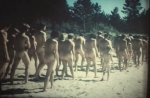 0jpJqQ-58.jpg