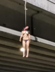 1702488847281.png